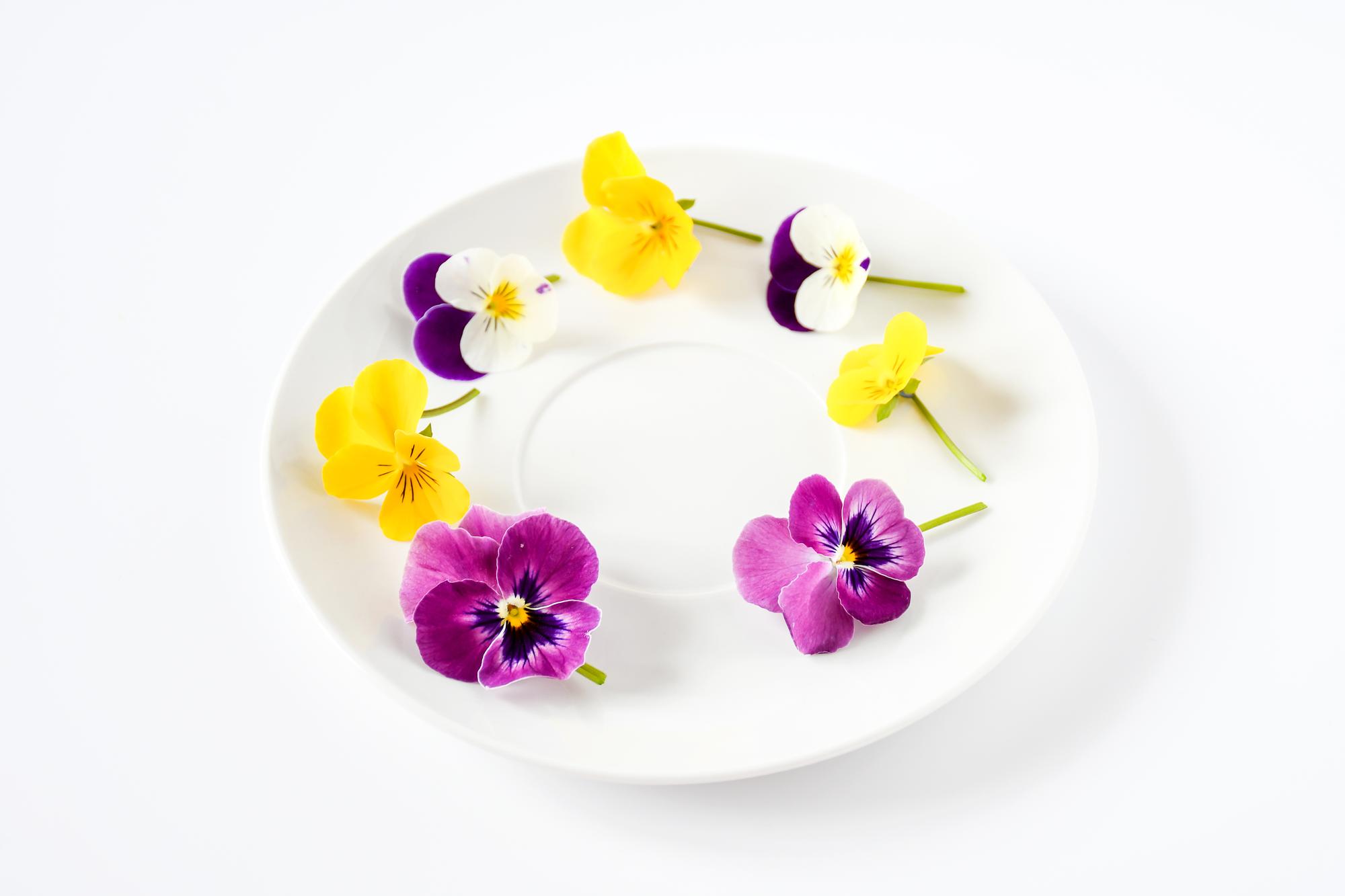 Plating: kompozycja z jadalnymi kwiatami